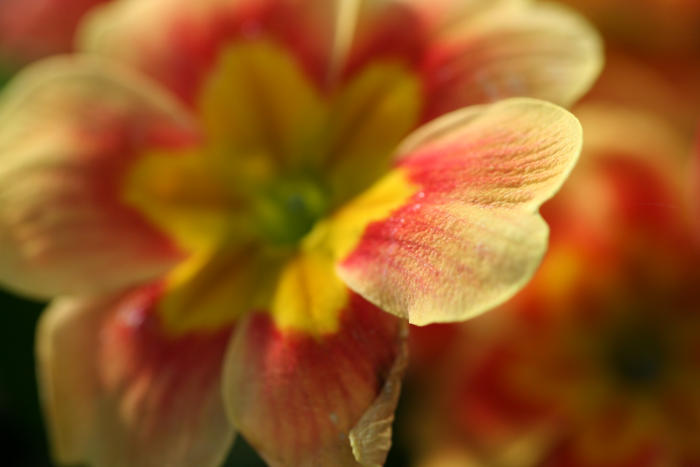 lip...........one...