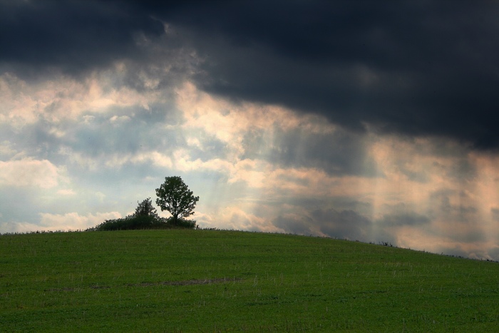 Windows XP pod mrakem:)