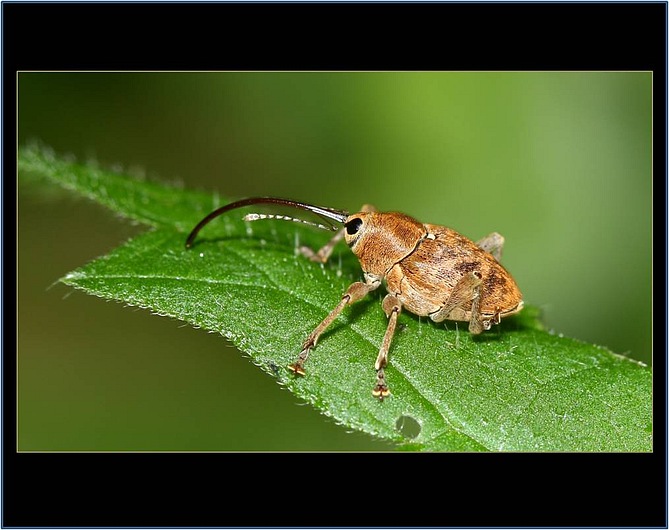 a pokrčíme zadní nohy ...