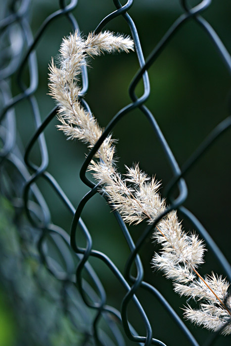 Fence harmony
