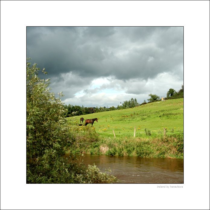newry.2008