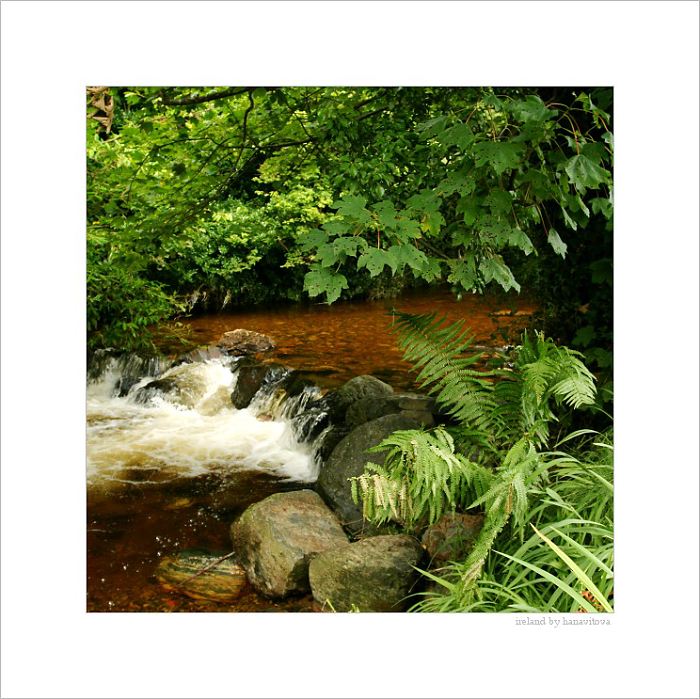 rostrevor.2008