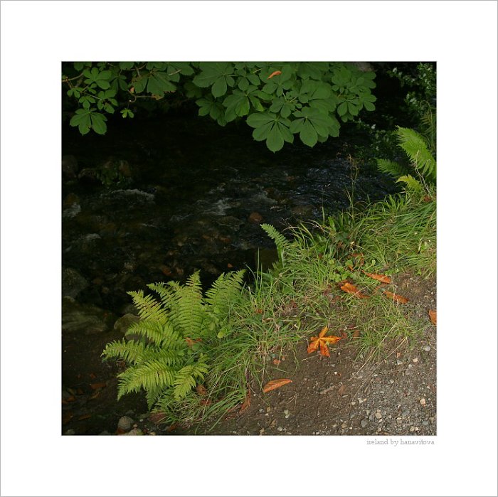 rostrevor.2008