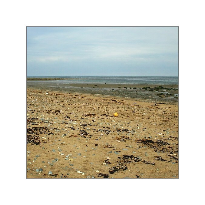 cranfield.east.2006