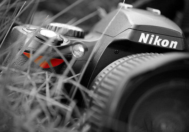 Nikolka....