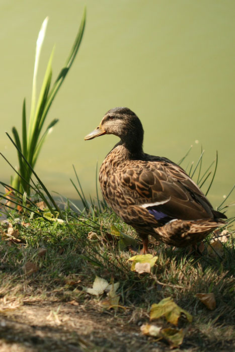 Na břehu
