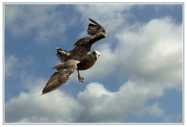 Kdo mě to tady nahoře fotí ?