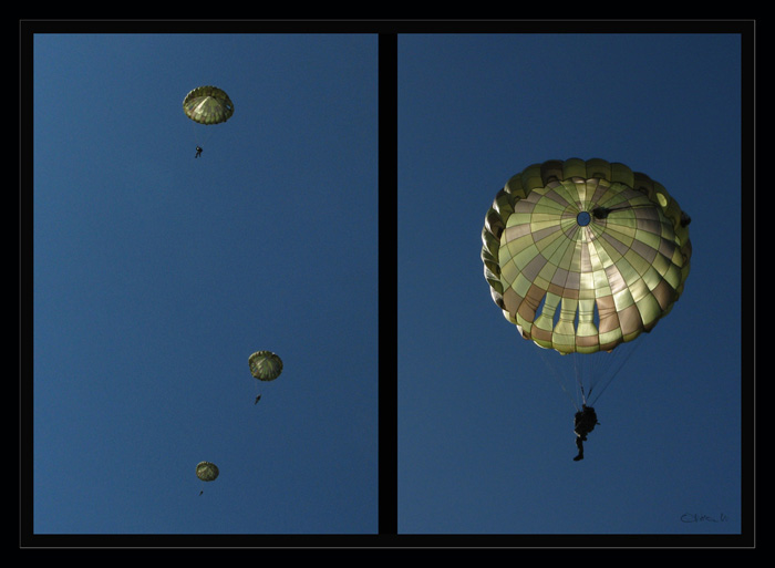 Slovak Army