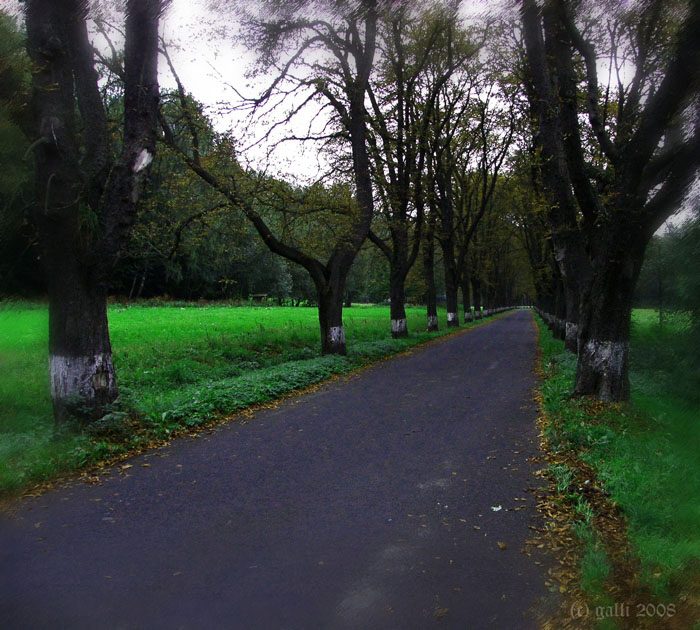 Podzim