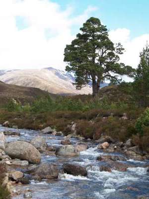 Braemar (Scotland)