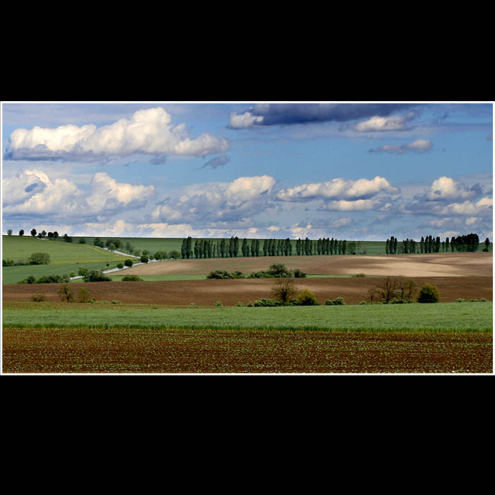 Podunajska nizina
