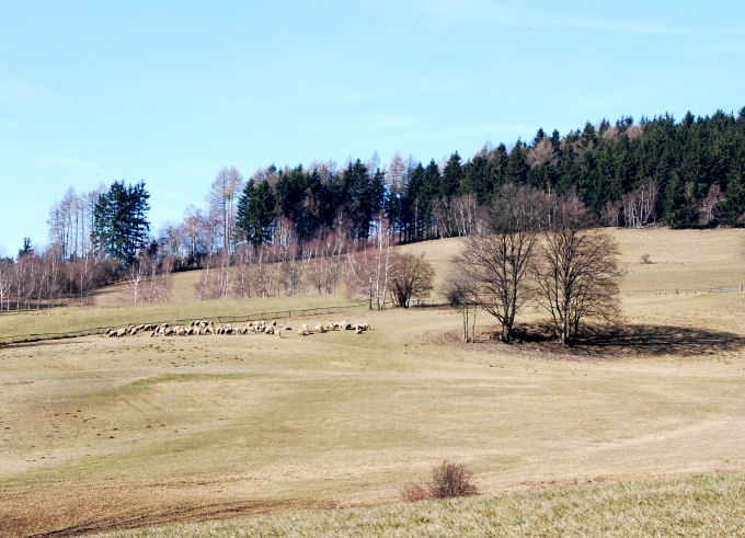 Předjaří na Vysočině