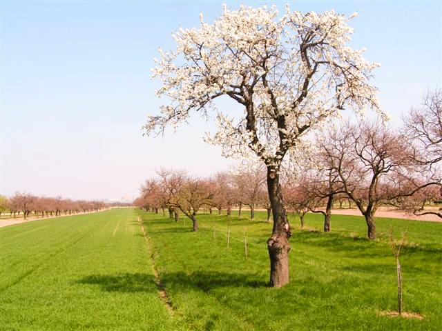 Pohlad na Bratislavsky hrad