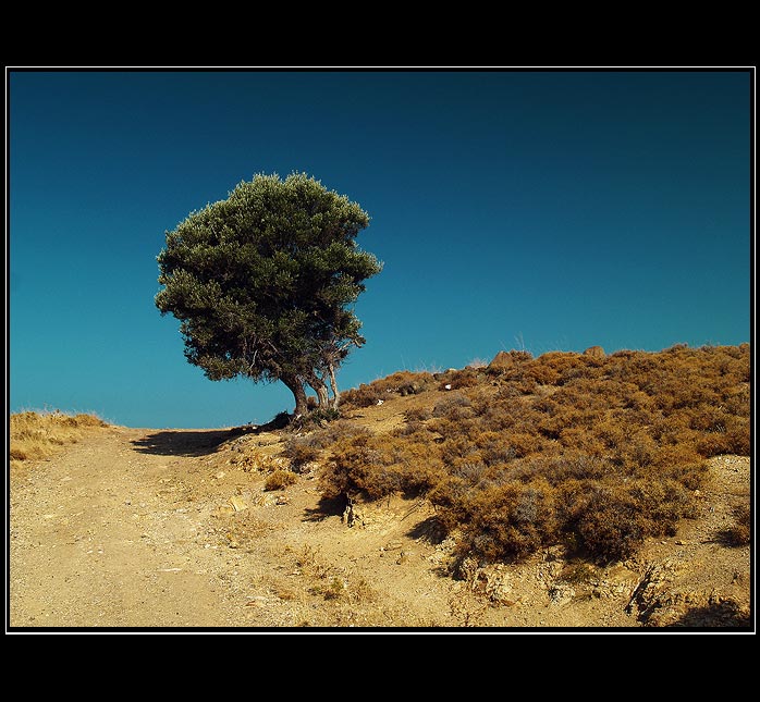 ...Lesvos III...