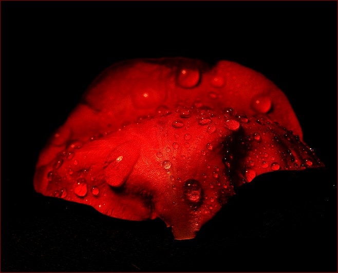 black & red
