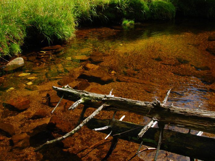 šumavské zákoutí