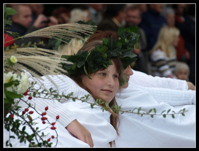 Bzenecké vinobraní 2008