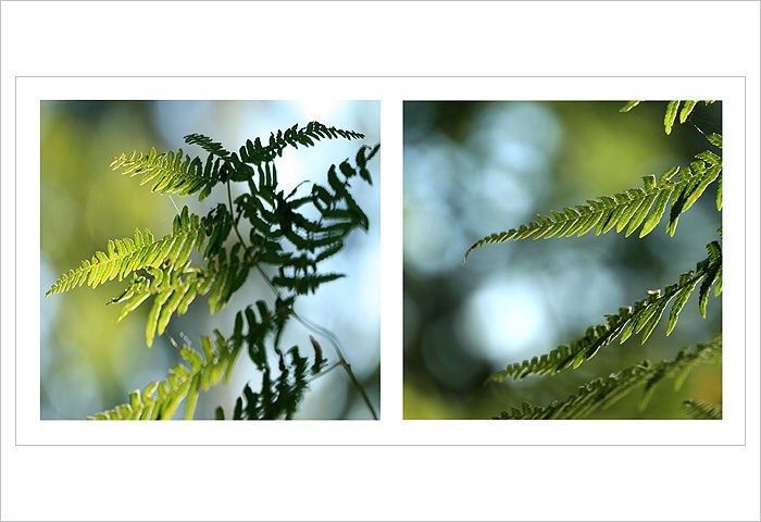 *** Smím prosit? :) ***