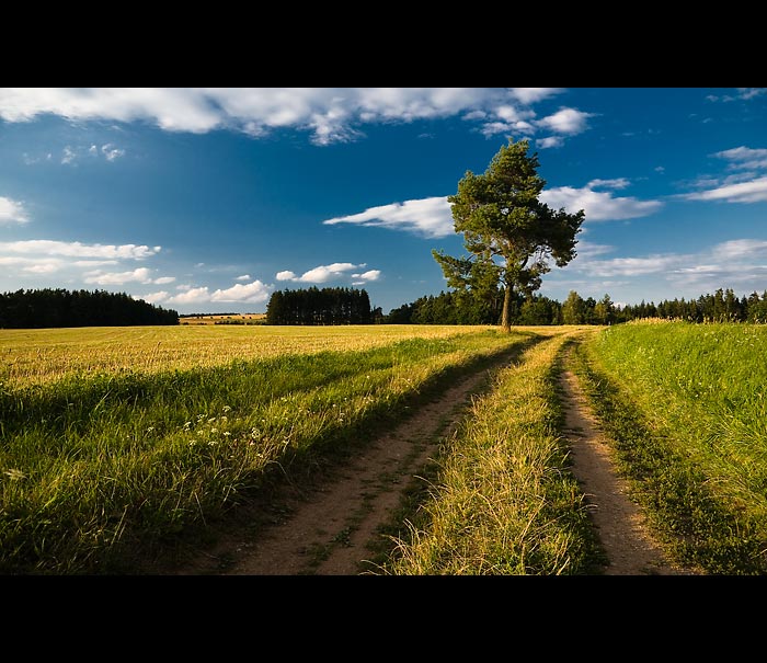 Jihočeská cestička