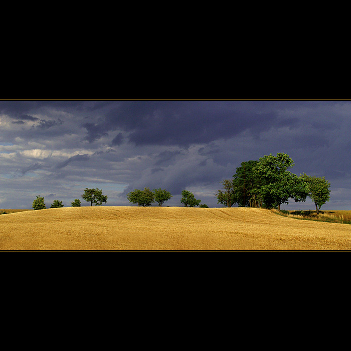 ***LEPŠÍ UŽ TO NEBUDE***