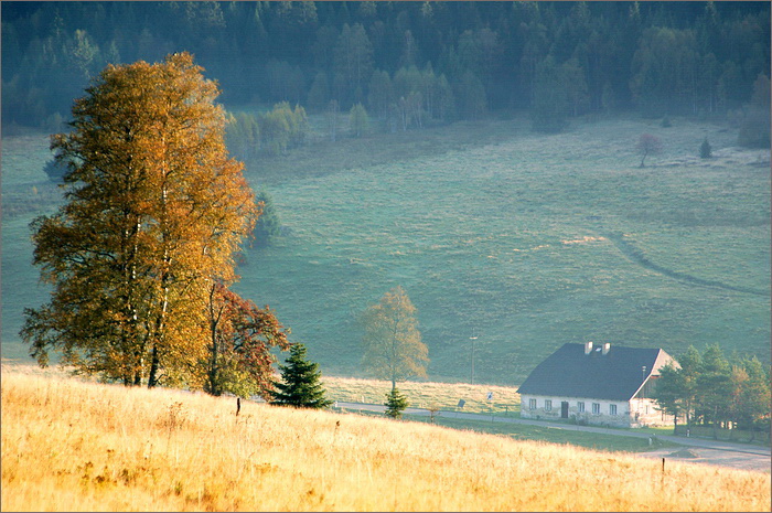 Šumavské ránka