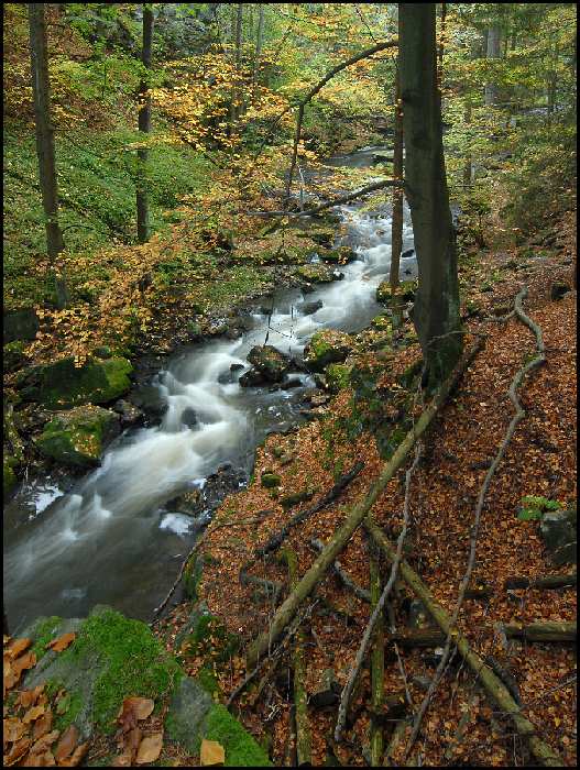 Kamenná řeka - Doubrava