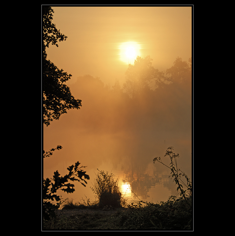 Návrat zlatých časů II.