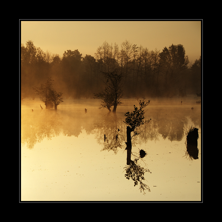 Návrat zlatých časů III.