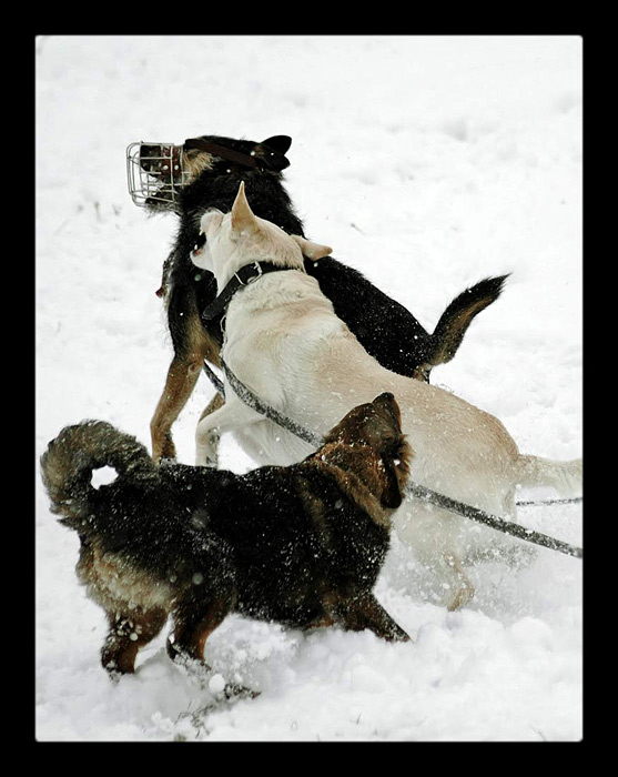 Hurááá, bitkááá!!!