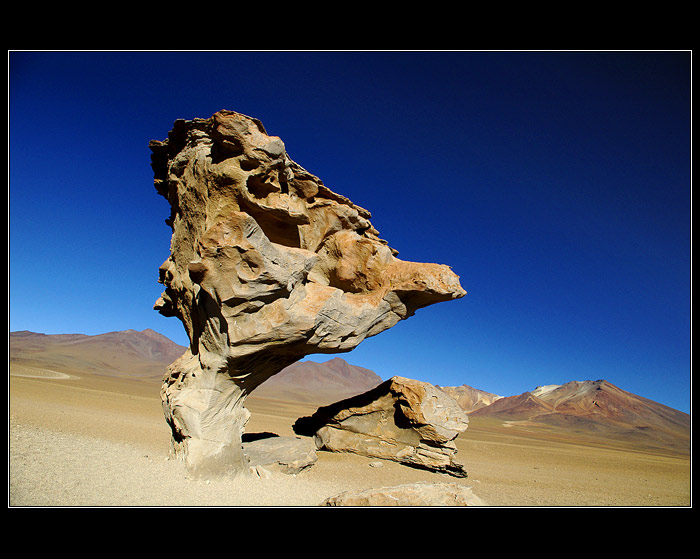 Arbol de Piedra