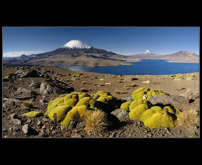 Lauca P.N.