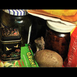 Dáš si ratatouille?