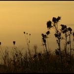 ..další zastaveníčko cestou do práce...