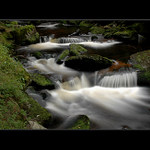 Na Hamerském potoce II