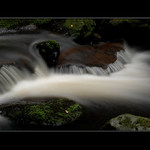 Detail Hamerského potoka