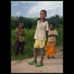 Na jukové plantáži