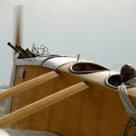 Ciaf 08