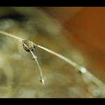 Ve snech ukrytá 6 ...