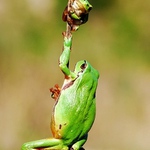 ...Souboj generací o místo na slunci...