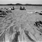 To ještě bylo léto....