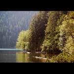 Od Černého jezera ...