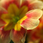 lip...........one...