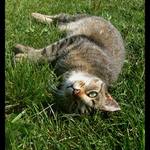 Ještě chceš fotit nebo se už můžu hnout...