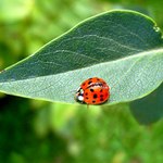 Odpočinek před startem