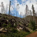 Cesta k pramenům Vltavy...