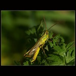 Kde se ta moje ženská loudá, už tadik čekám pěěěkně dlouho...