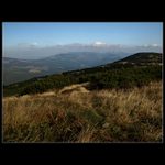 Na Zlatém návrší...