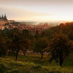 V prvních slunečních paprscích