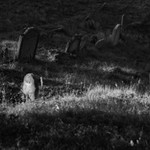 Židovský hřbitov, Dolní Kounice