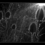 ...když den začíná IV ...